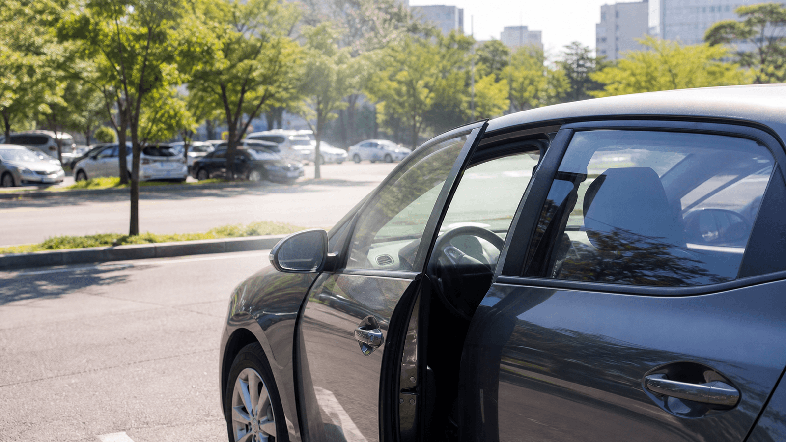 뙤약볕에 세운 차, 먼저 열기를 빼야 한다 — 모노라 편집부 codex hero